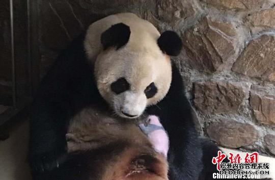 ����è&ldquo;֥֥&rdquo;������������һ�𡣡����� ��